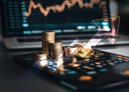 ReToken - 1 решение о выпуске